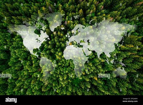 Global 的图像结果