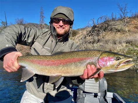 Trinity River Fish Report - Trinity River - Hot Trinity steelhead ...