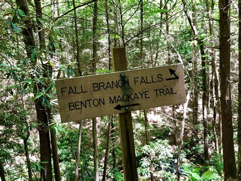 Top Hiking Trails Near Blue Ridge, GA