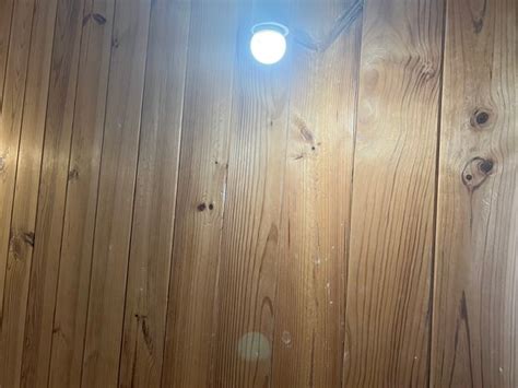 STARBOYS GAY RESORT (Maspalomas) - Specialty Inn Reviews & Photos ...