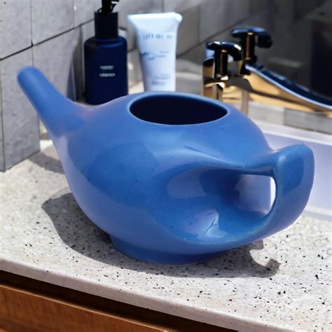 GoodsHealthShop Jala Neti Pot Porcelain Ceramic Neti Pot for Nasal ...