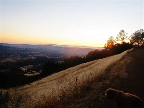 Juniper and Live Oak Campground in Mount Diablo State Park, California ...