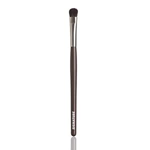 BASICARE Signature Shading Brush Your Key to Effortless Eye Makeup ...