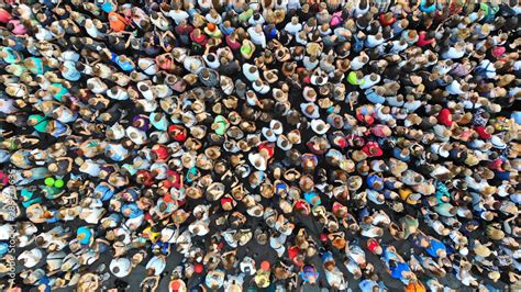 People Using a Computer 的图像结果