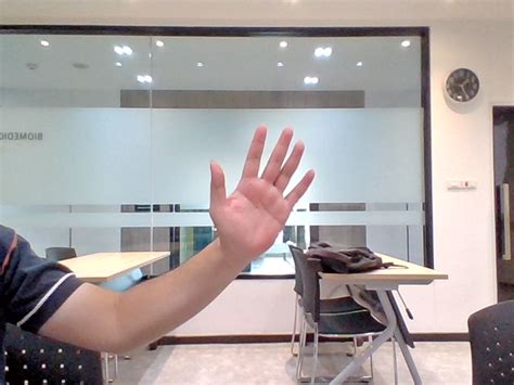 Image result for Hand Detection Python