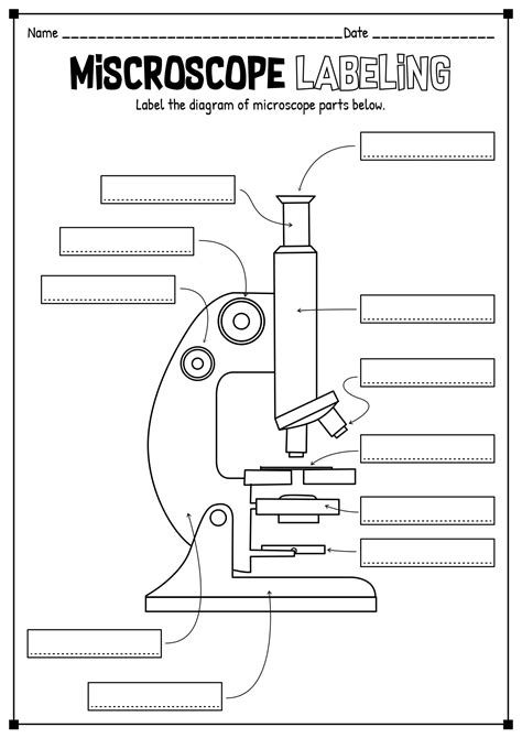 Label Microscoop Diagram Antwoorden Parts Of The Microscope Label And