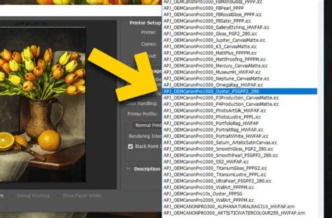 Image result for ICC Profile Explained