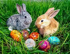 Image result for Bunny Eggs
