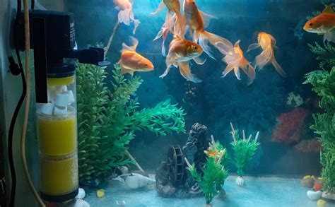 Jainsons Pet Products Sobo 3 in 1 Filtration System Aquarium Internal ...