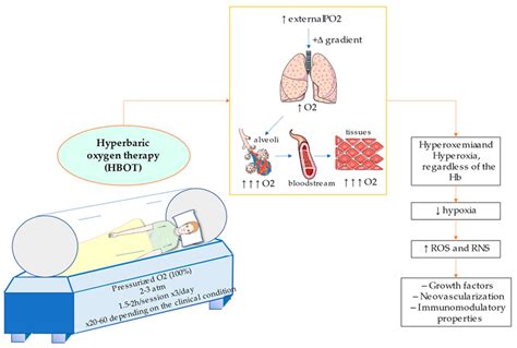 A General Overview on the Hyperbaric Oxygen Therapy: Applications ...