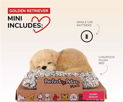 Buy Perfect Petzzz Minis Baby Golden Retriever, Realistic, Life-Like ...