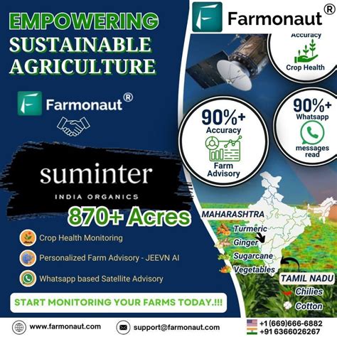 Intensive Subsistence Agriculture: 2025 Trends & Examples
