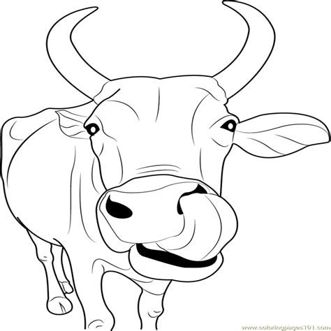 Dairy Cow Coloring Pages at GetColorings.com | Free printable colorings ...