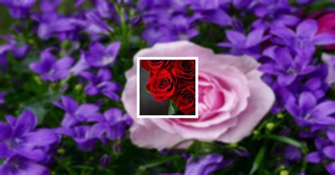 Obituary Guestbook | Ethel "Missy" Margaret Soulier of Red Cliff ...