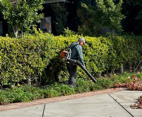 ATTENTION! Hancock Park Residents! - Larchmont Buzz - Hancock Park News