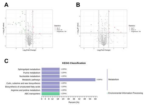 Unveiling the Impact of Organic Fertilizer on Rice (Oryza sativa L ...