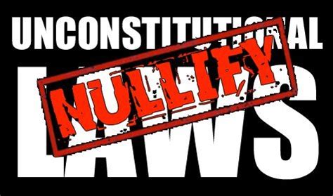 Nullification Example Picture 的图像结果