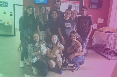 IZEA Partners with Pet Rescue by Judy and The Chicago Canine Rescue ...