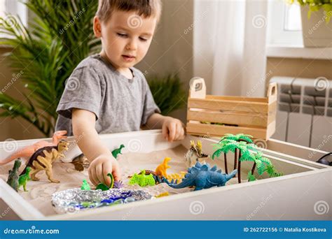 Cute Baby Boy Playing Sensory Box Kinetic Sand Table with Carnivorous ...