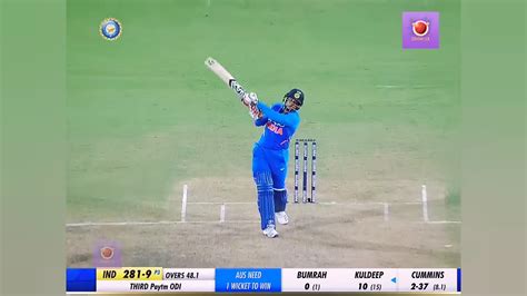 Cricket Graphs in Matplot 的图像结果