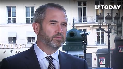 Ripple CEO Sounds Alarm Bells Over Crypto Exodus