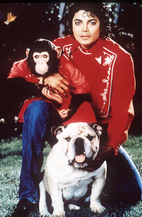 Michael Jackson's pet chimp Bubbles turned 40