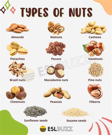 Examples Of Nuts at Samuel Truelove blog