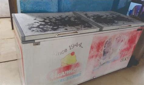 Deep Fridge 的图像结果