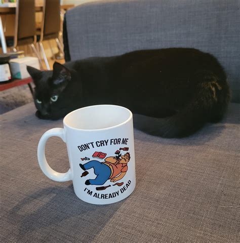 my favorite mug and my cat, her breath does smell like cat food : r/TheSimpsons