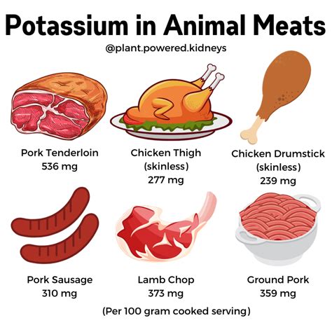 What Causes Low Potassium In Dogs