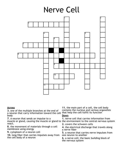 Nerve Cell Crossword - WordMint
