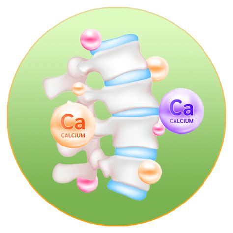 Calcium Complex – Nveda