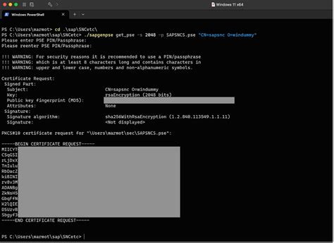 Image result for Encrypt SAP Control Connection