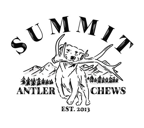 🐾 Are Yak Chews Safe for Aggressive Chewers? – Summit Dog Chews