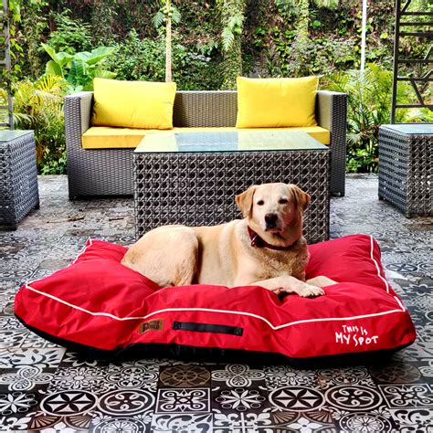 Waterproof Monsoon Cushion Beds – Petter World