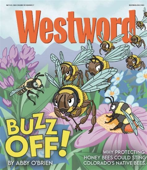 2025 Dillon Amphitheater Summer Concert Schedule | Westword