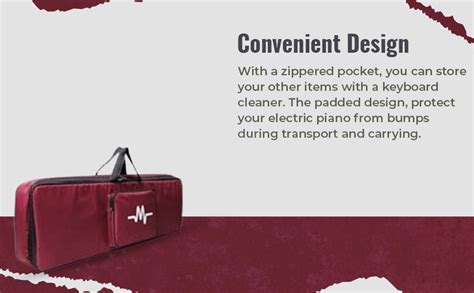 Mexa Compatible With Casio SA80 / SA81 / SA76 / SA77 / SA78 & Yamaha ...