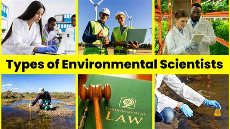 Different Types of Environmental Science 的图像结果
