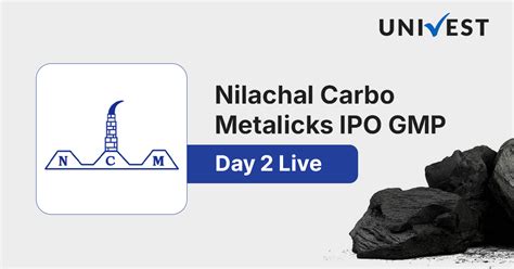 Nilachal Carbo Metalicks IPO GMP Day 2: Should Apply or Avoid?