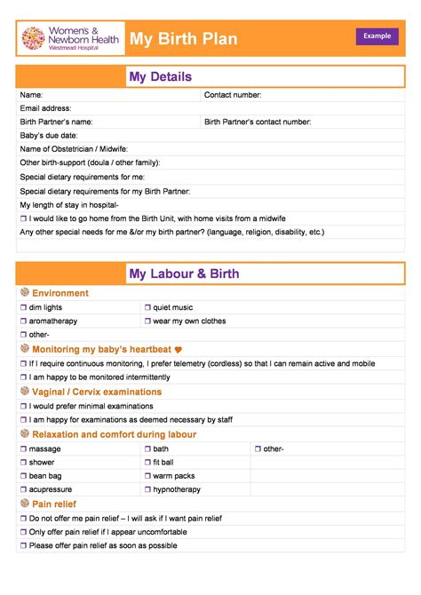 47+ Printable Birth Plan Templates [Birth Plan Checklist] - Template Lab