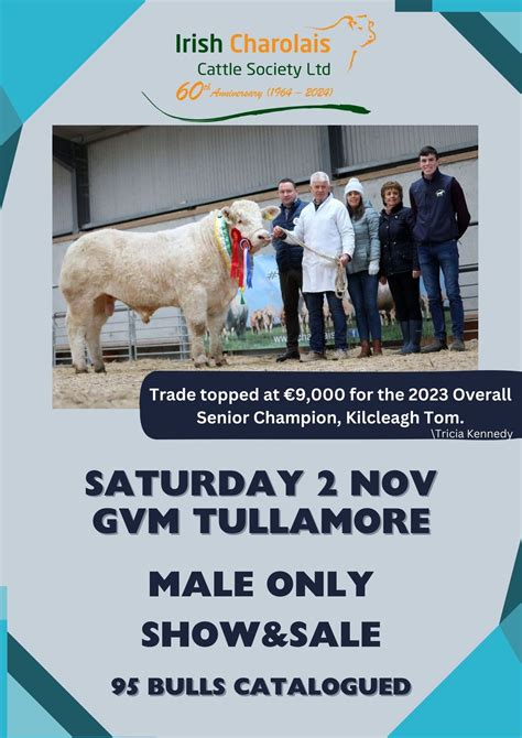 Tullamore November Show & Sale of Bulls, GVM Auctioneers Tullamore ...