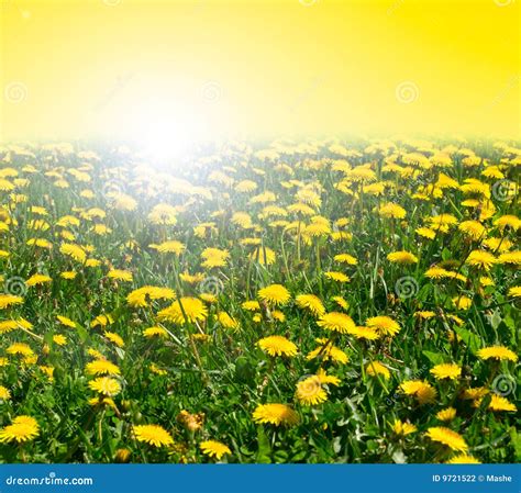 Dandelions Piano Tutorial 的图像结果