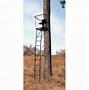Image result for Ladder Tree Stands On Clearance