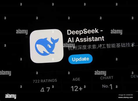 Deepseek Model Logo 的图像结果