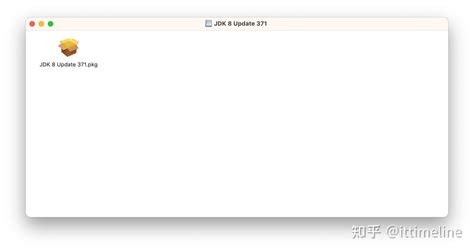 Java 11 Mac Tutorial 的图像结果