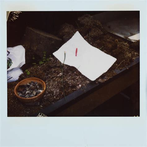 New Kurt Cobain death scene photos