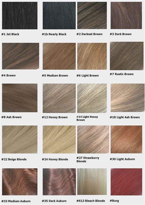 Clairol Professional Hair Color Chart - New Product Assessments, Offers ...