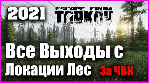 Лес Все Выходы за ЧВК 2022 Гайд Escape from Tarkov 0.12.10 - YouTube