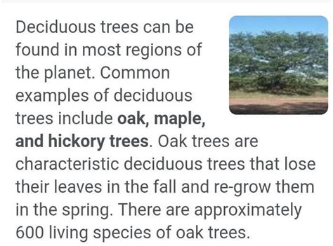 Can you name five deciduous trees? - Brainly.in