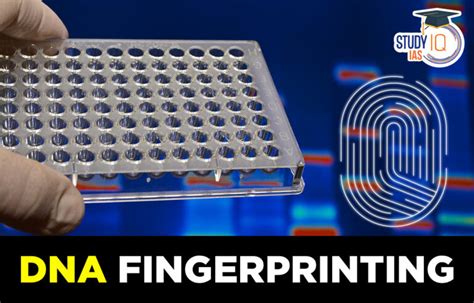 Basic DNA Fingerprinting 的图像结果